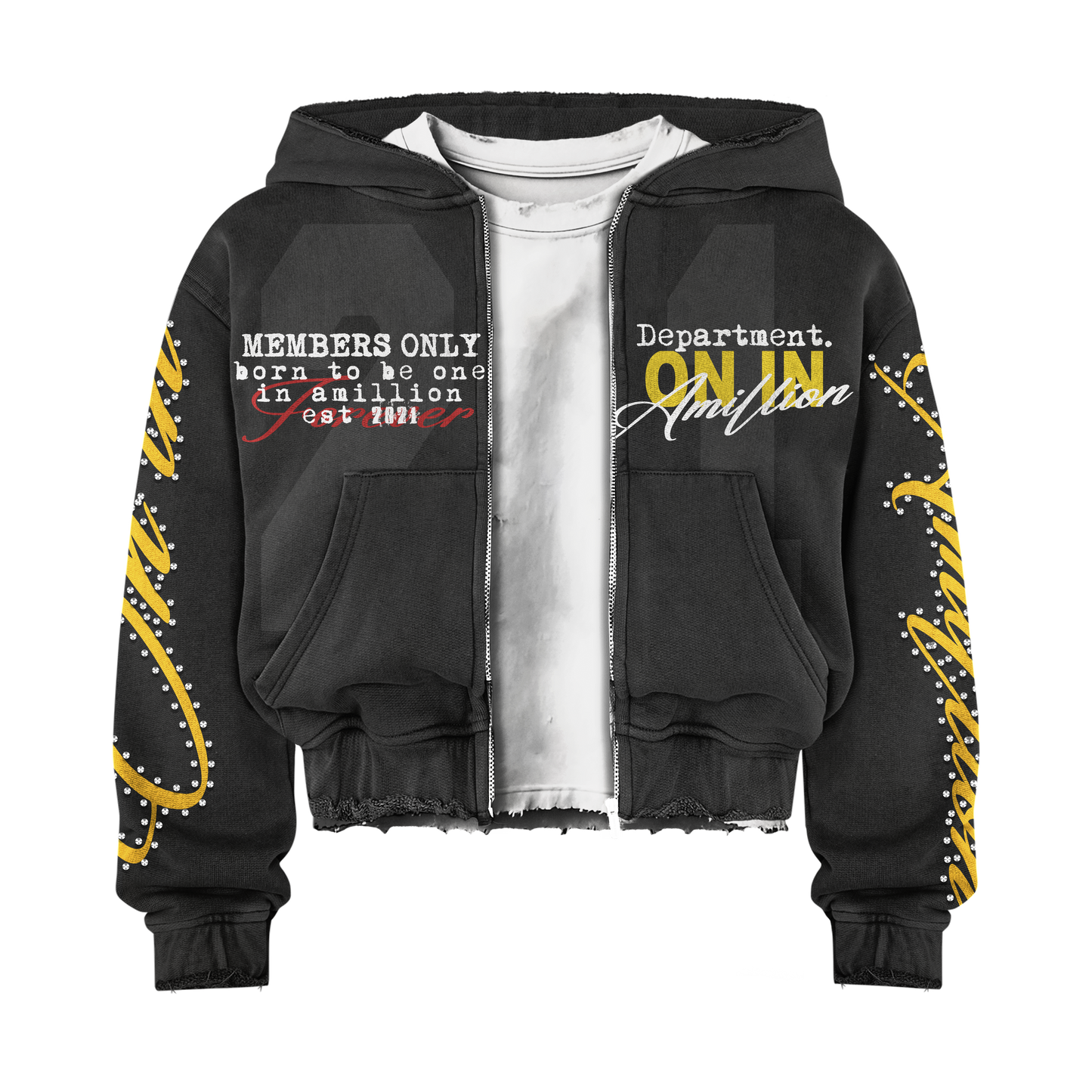 One in Amillion varsity hoodie